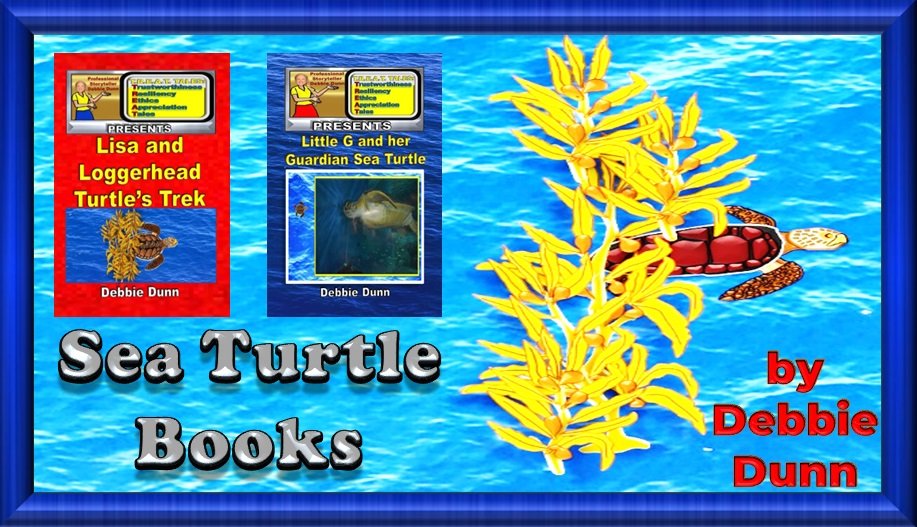 Sea Turtle book display